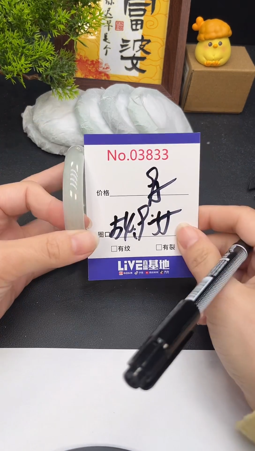 未镶嵌手镯翡翠3833