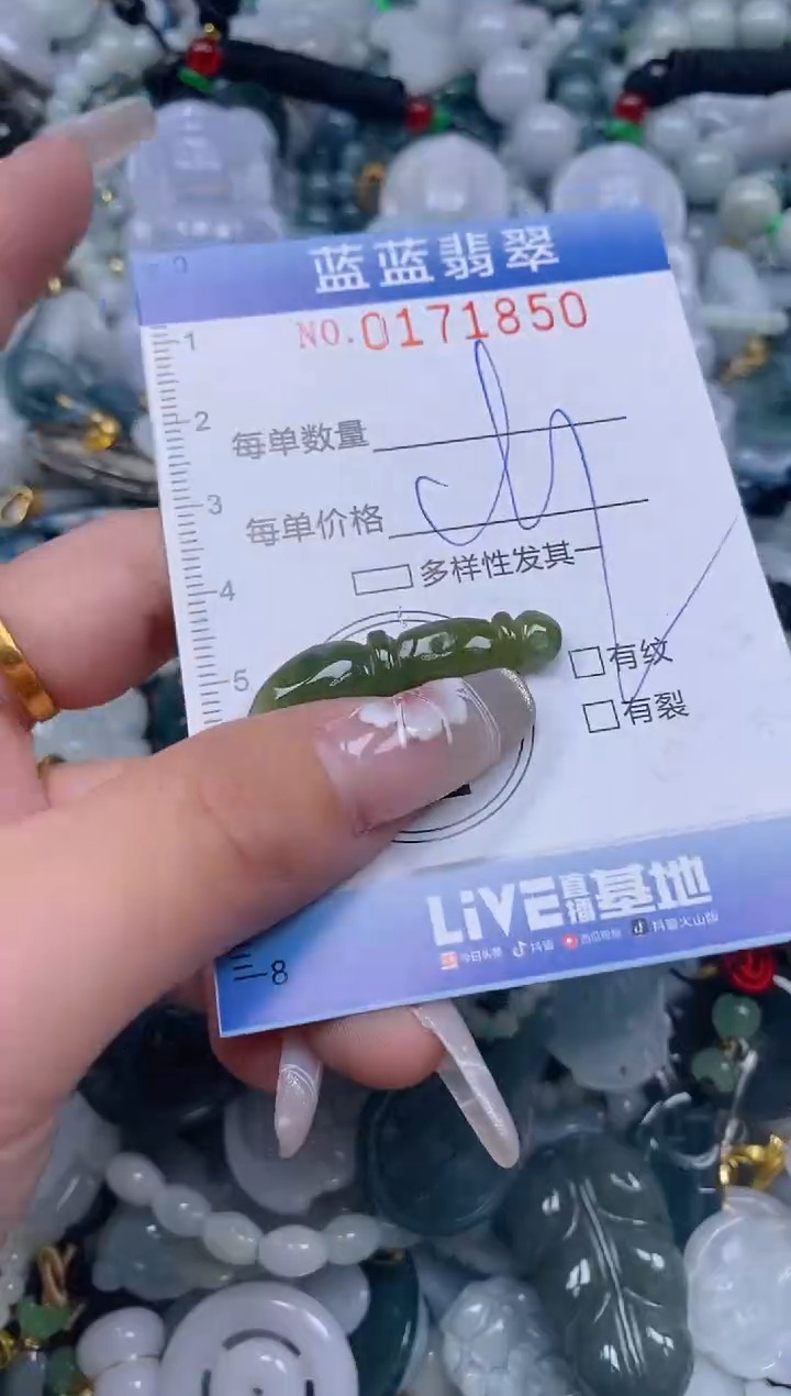 【闪购商品】翡翠颈饰未镶嵌闪购0171850