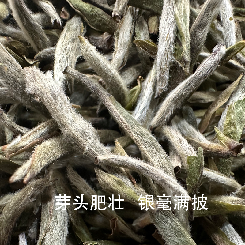 【康潮一品】2024年芳华 白毫银针 散茶