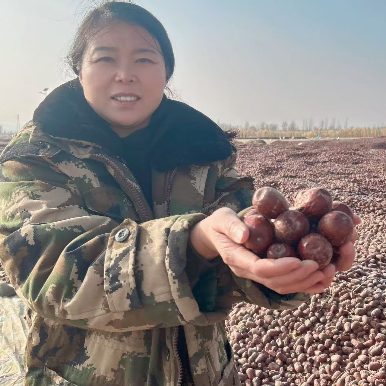 和田大枣 福利款小光头 个小 饱满 原产地直发 全国包邮