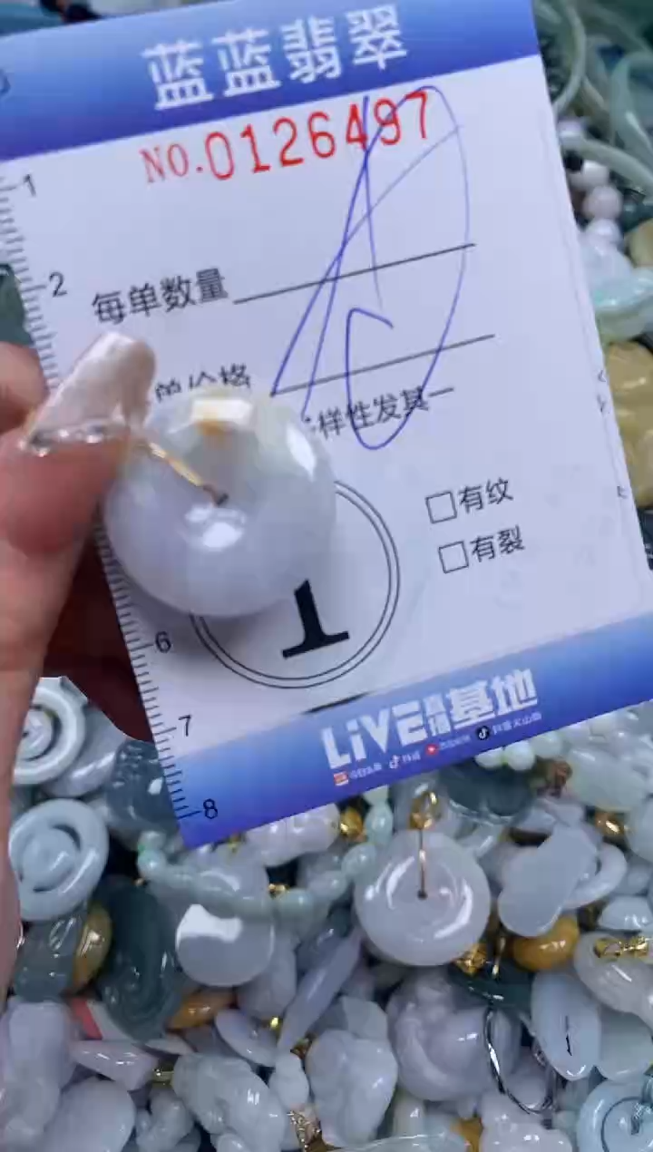 【闪购商品】翡翠颈饰未镶嵌闪购0126497多样性发其一
