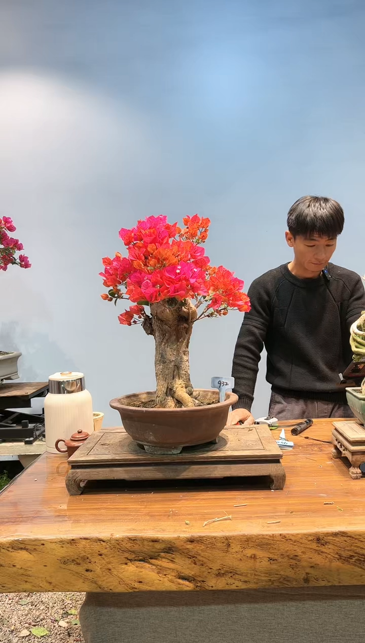 【闪购商品】AA932