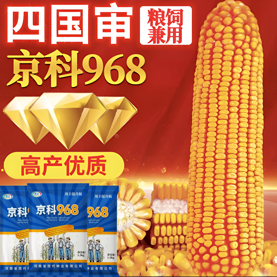 京科968.五区国审高产玉米种子云贵川南方北方通种玉米大棒商品图