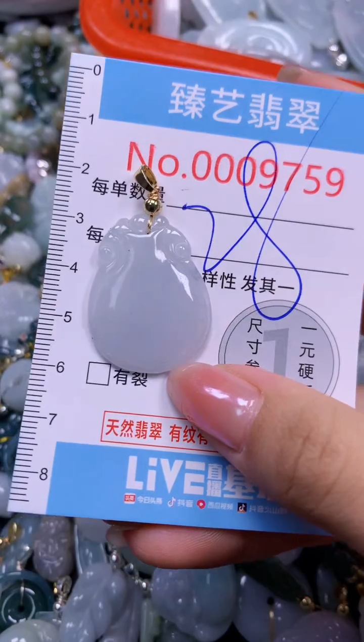 颈饰未镶嵌翡翠9759