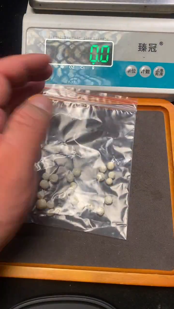 【闪购商品】橄榄核手串/手链猛犸猛犸猛犸猛犸46