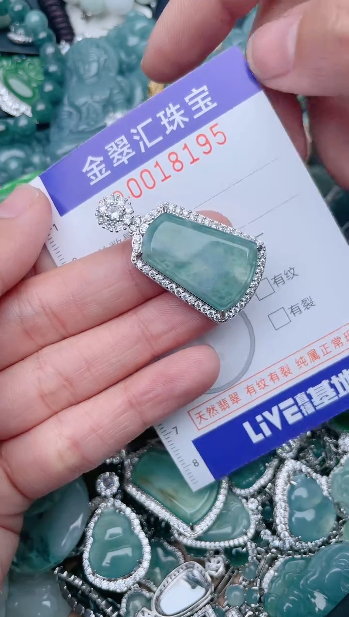 【闪购商品】翡翠颈饰未镶嵌18195.......1