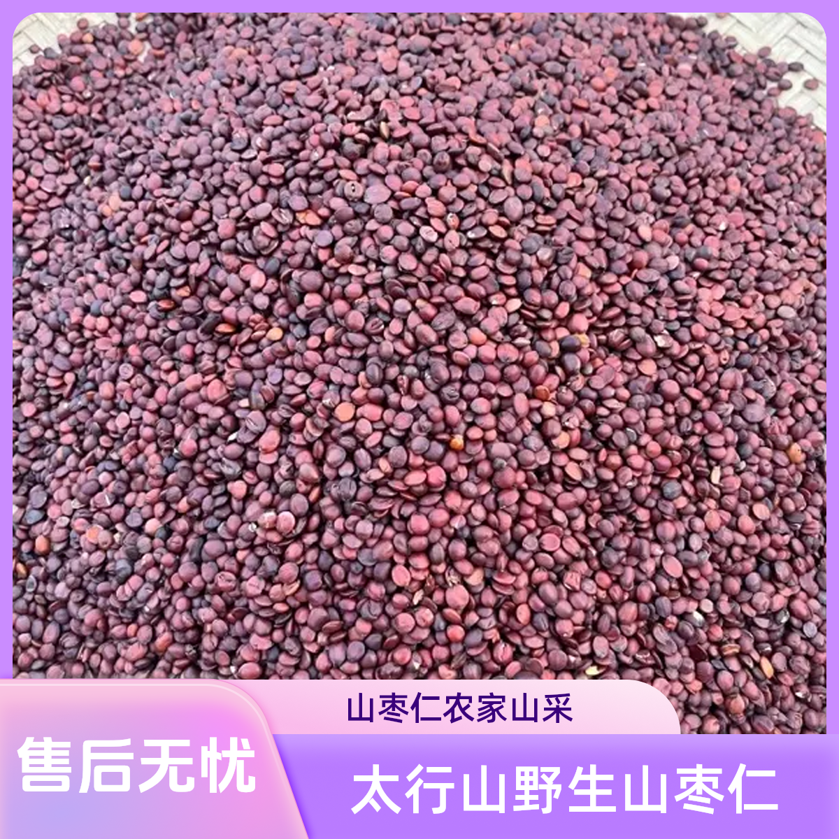 农家山采山枣仁现收土特产