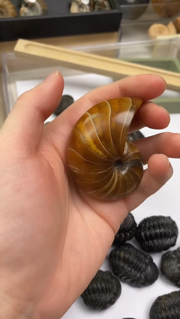 精美摆件创意礼物家居配饰新年礼物个人收藏