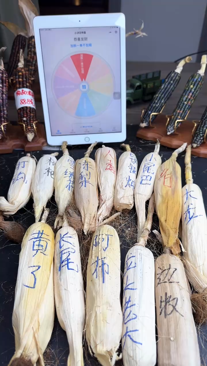 【闪购商品】飞你哈哈哈和和哈哈哈哈哈哈哈哈哈哈