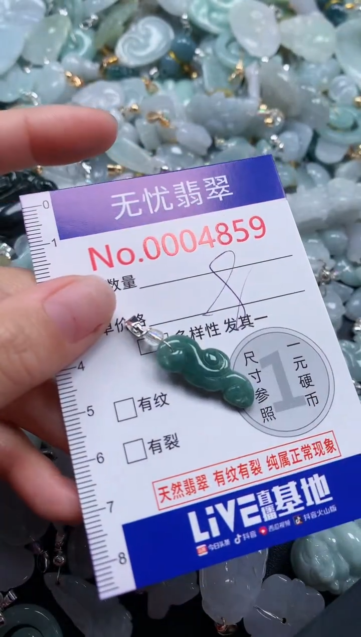 颈饰未镶嵌翡翠4859