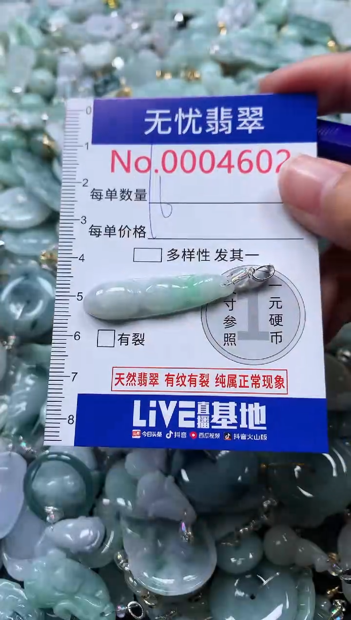 颈饰未镶嵌翡翠4602