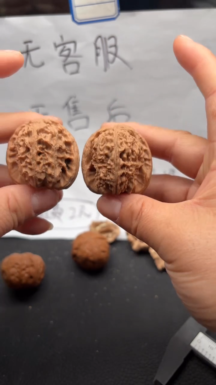 把件文玩核桃154白狮子