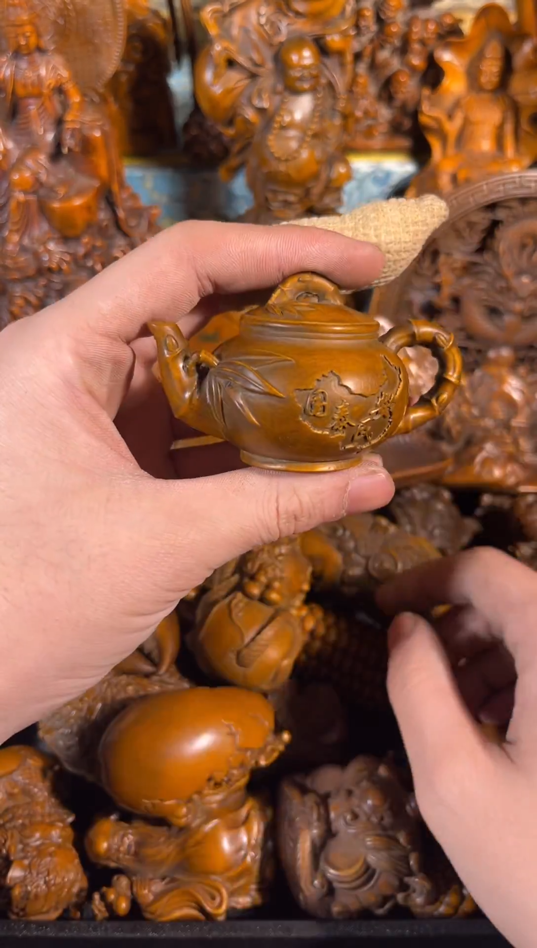 黄杨木11111111111111