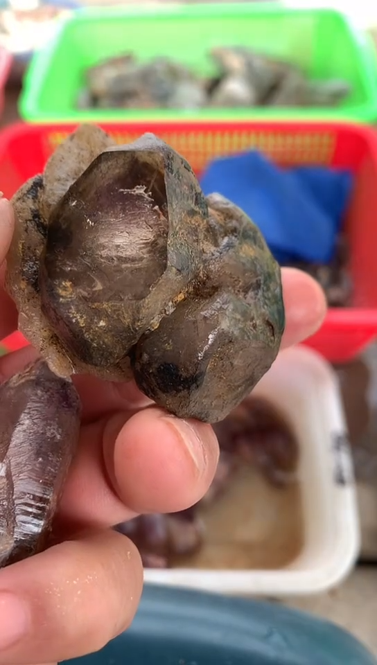 【闪购商品】水晶，未镶嵌凤仙，水晶