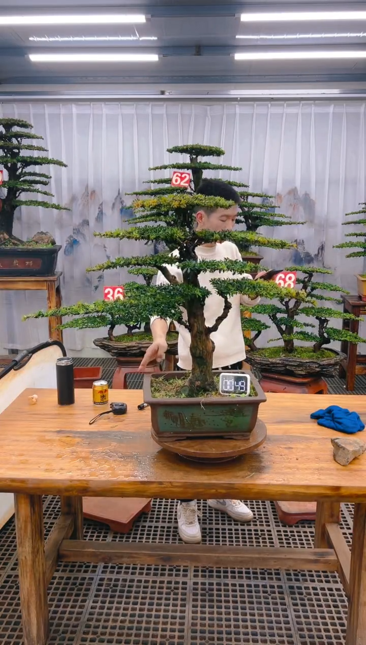 【闪购商品】紫砂精品盆景直播间一物一拍