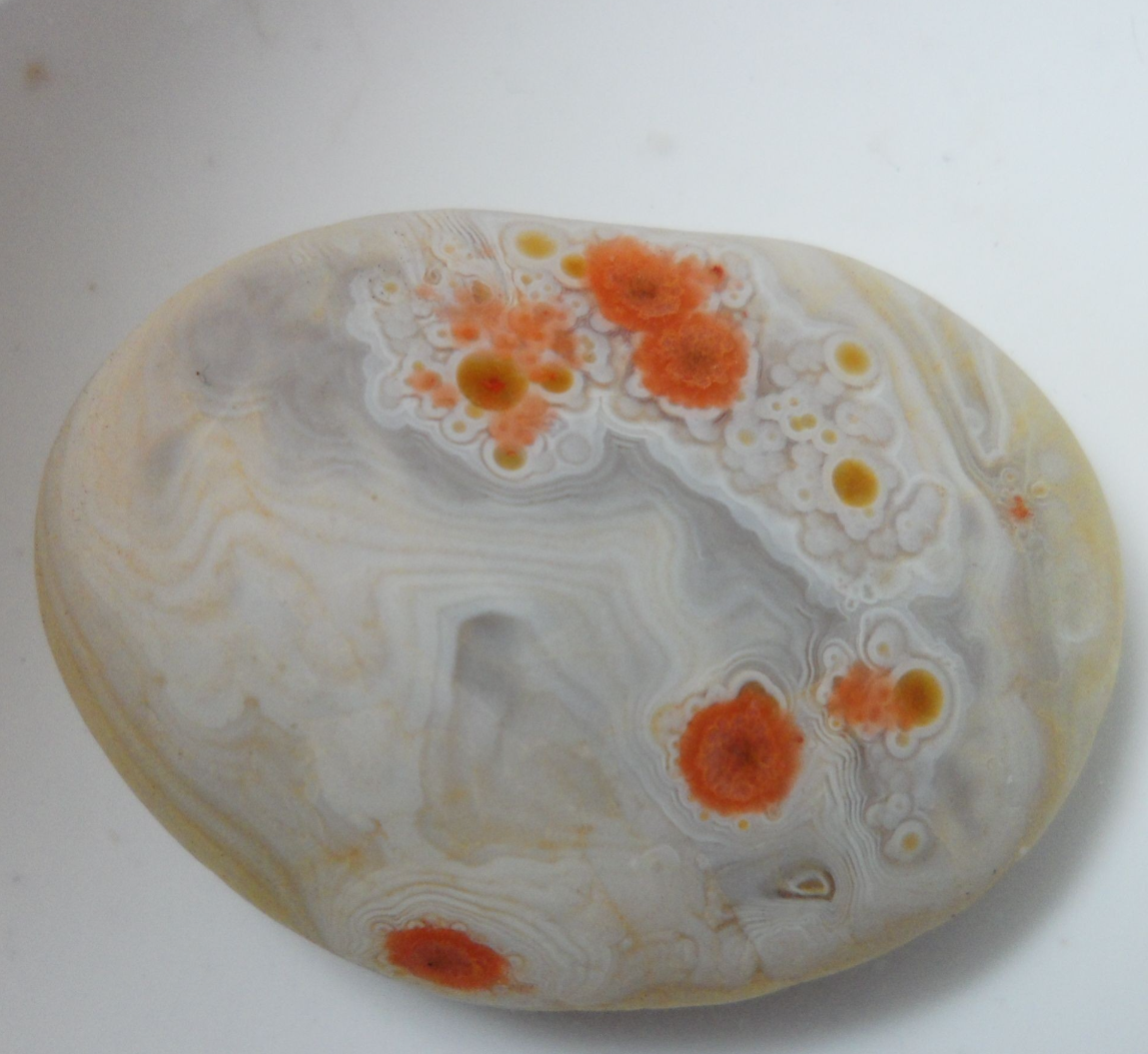 天然高端景观盆景石