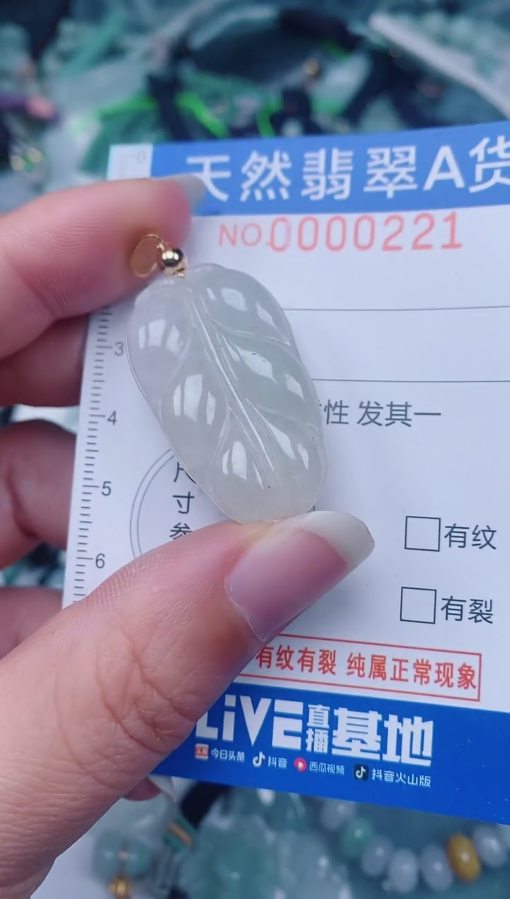 颈饰未镶嵌翡翠00000221