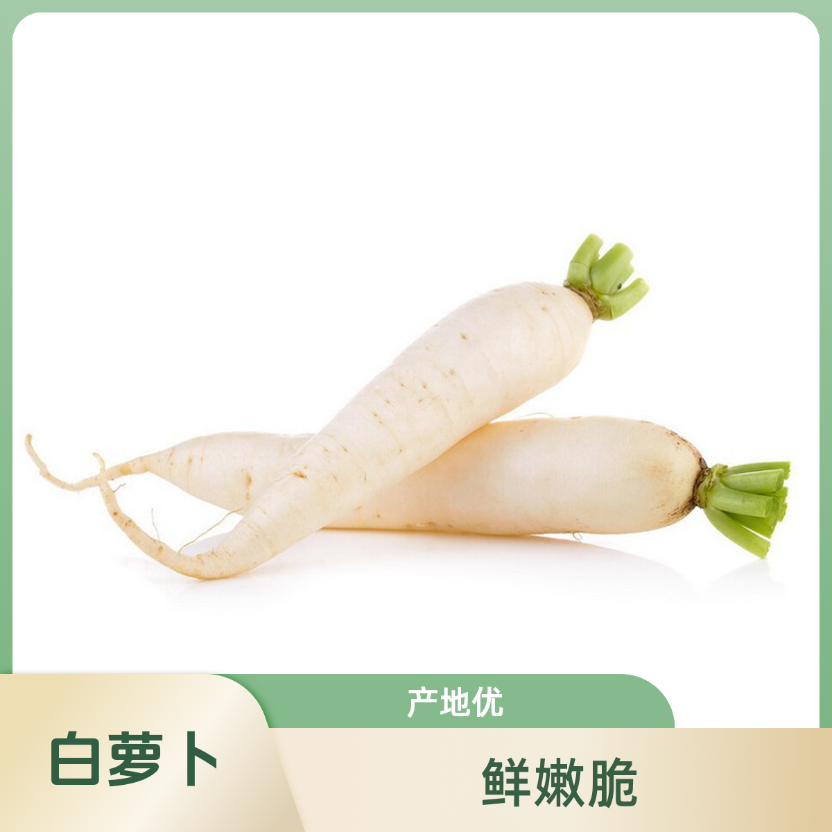 白萝卜1000g~1200g