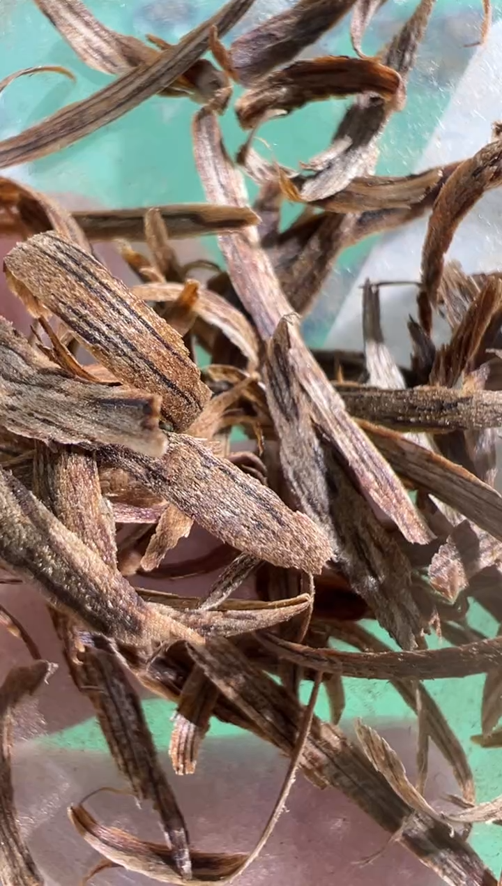 【闪购商品】沉香沉香香囊50克香港黑棋树心油