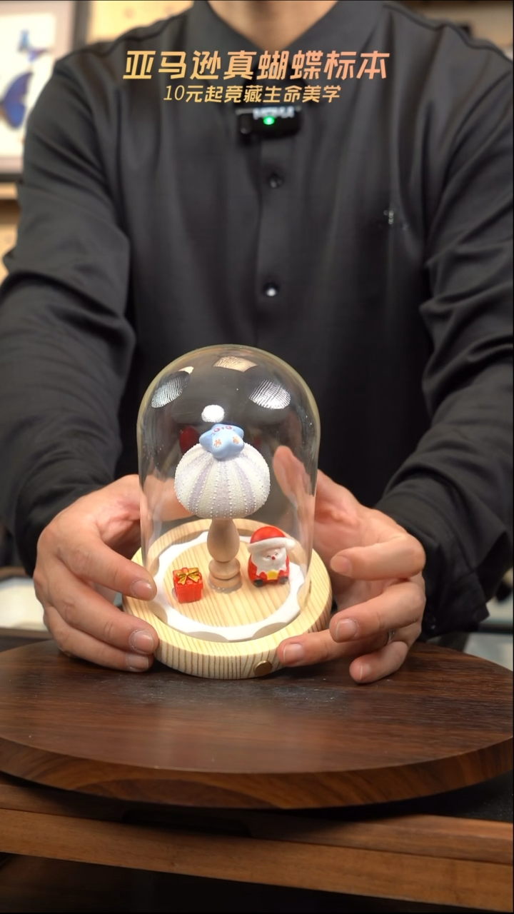 海胆灯圣诞老人款