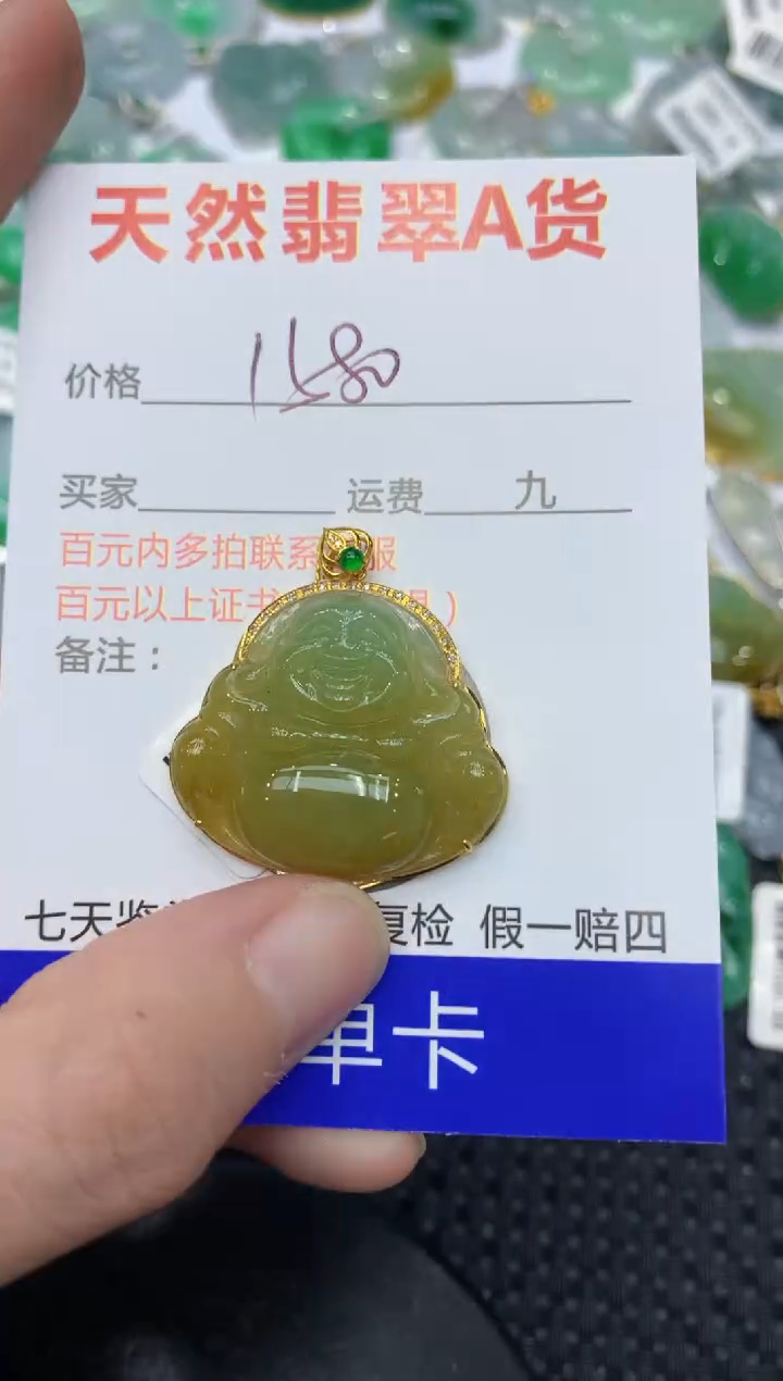 【闪购商品】翡翠颈饰18K金镶嵌11111111111