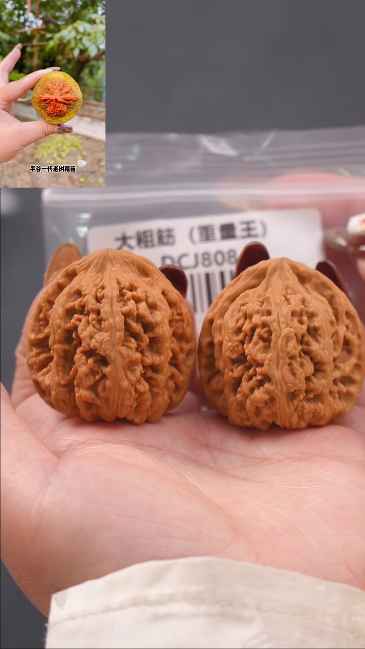 【闪购商品】文玩核桃把件41平谷粗筋