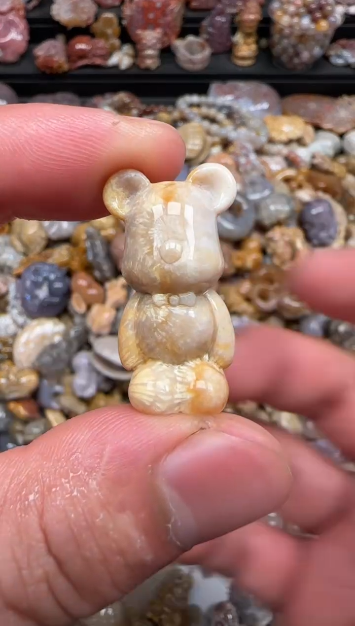 硅化珊瑚（珊瑚玉）未镶嵌颈饰631