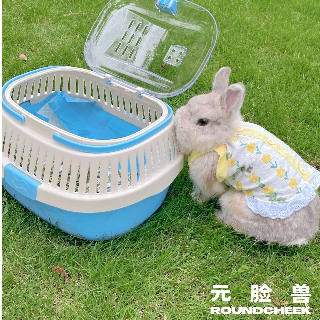 宠物兔兔豚鼠龙猫蜜袋鼬托特外出便携手提车载露营单肩宠物包