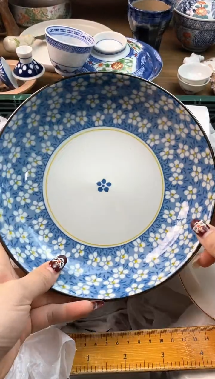 【闪购商品】瓷片[○･｀Д´･ ○]