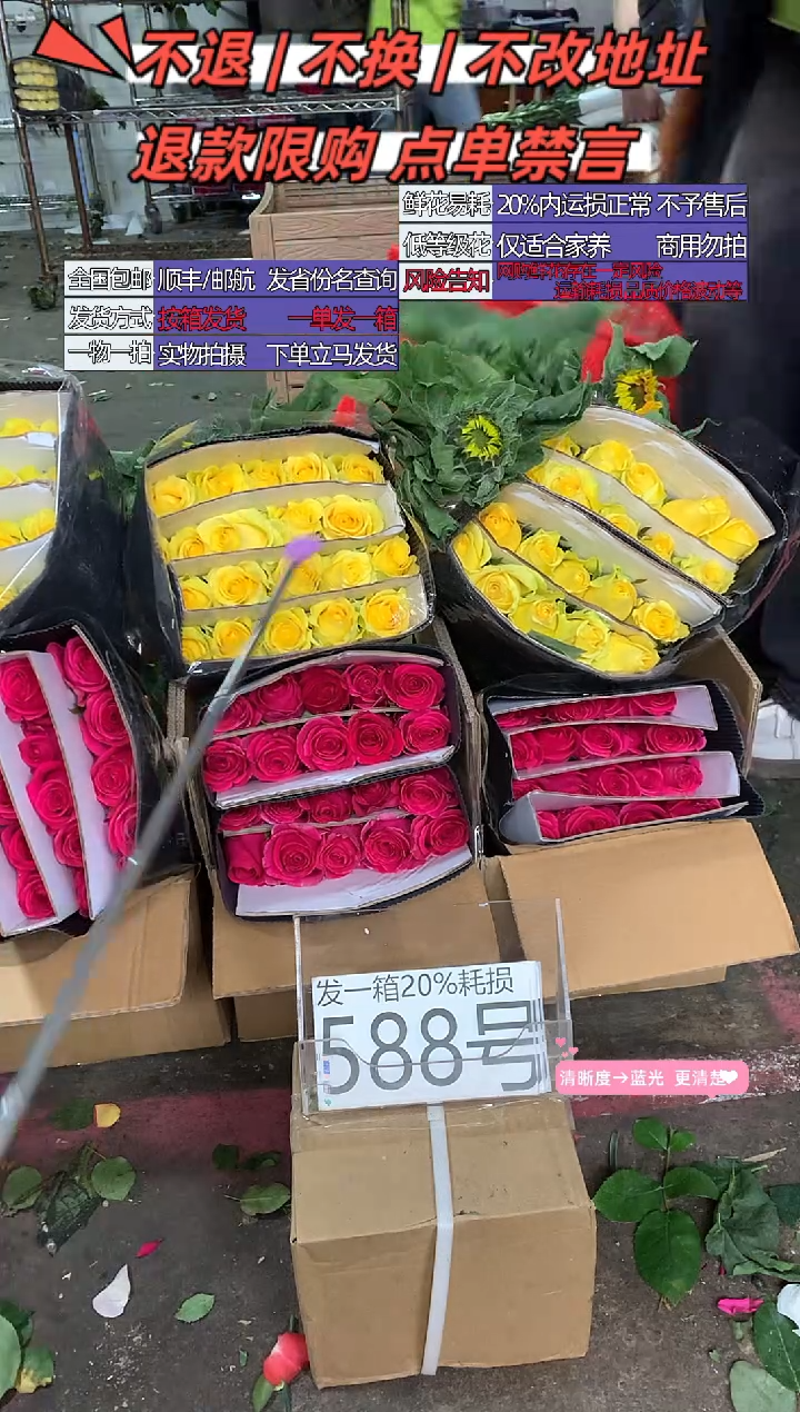 588号♥含20%耗损发一箱