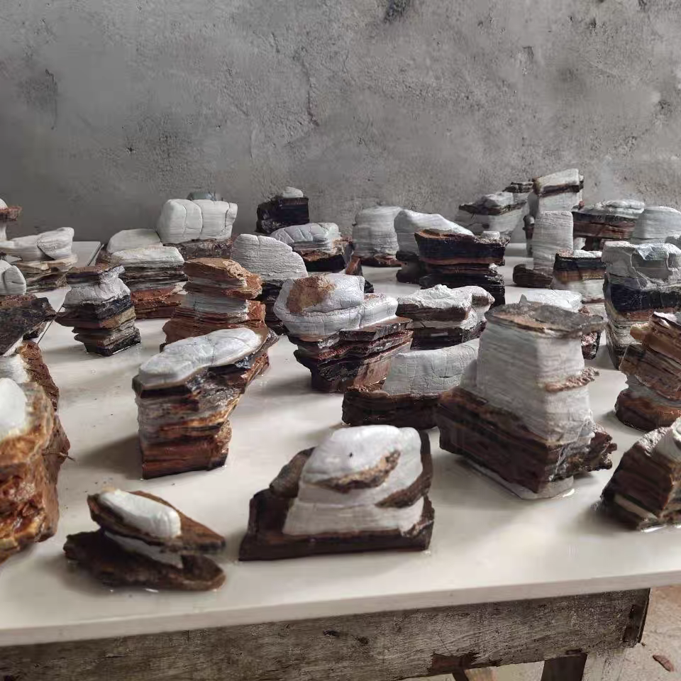 太行奇石 鱼缸造景 绿植摆件 风化