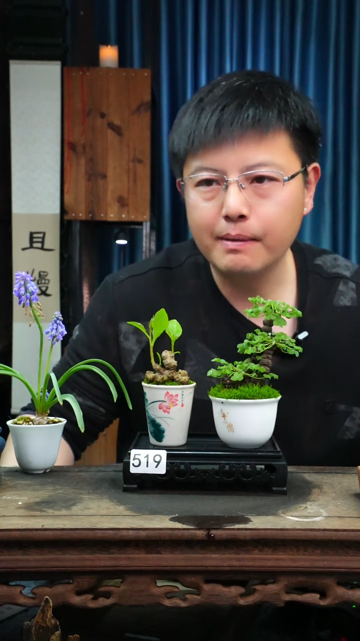 【闪购商品】苔藓微景观519号