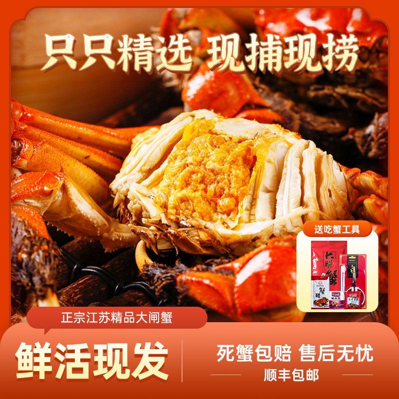 【活蟹】苏州大闸蟹公6.0 -5.7两母4.0 -3.7两10只/8只礼盒装