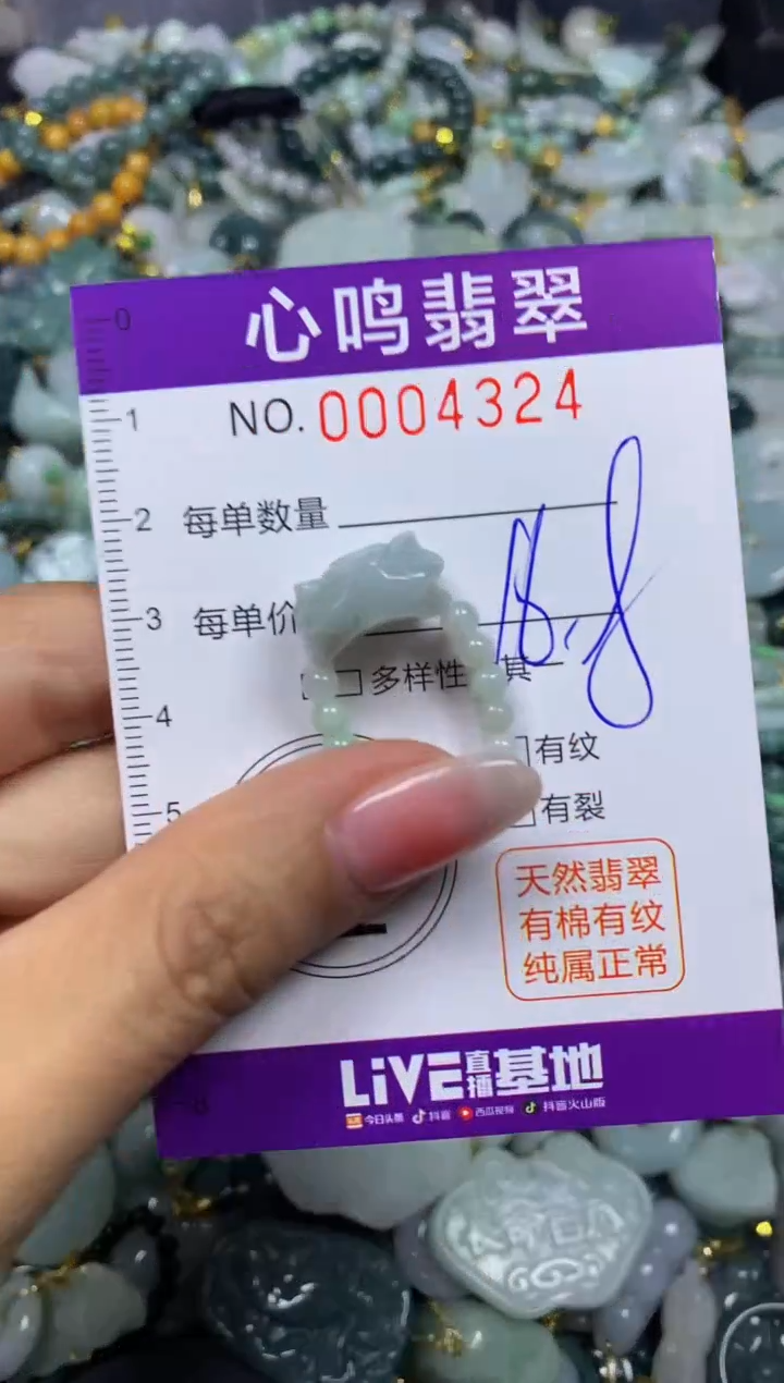 【闪购商品】翡翠颈饰未镶嵌闪购004324