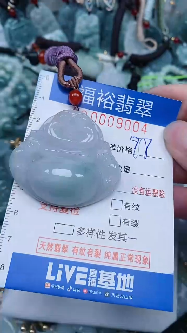 【闪购商品】翡翠颈饰未镶嵌...0009004