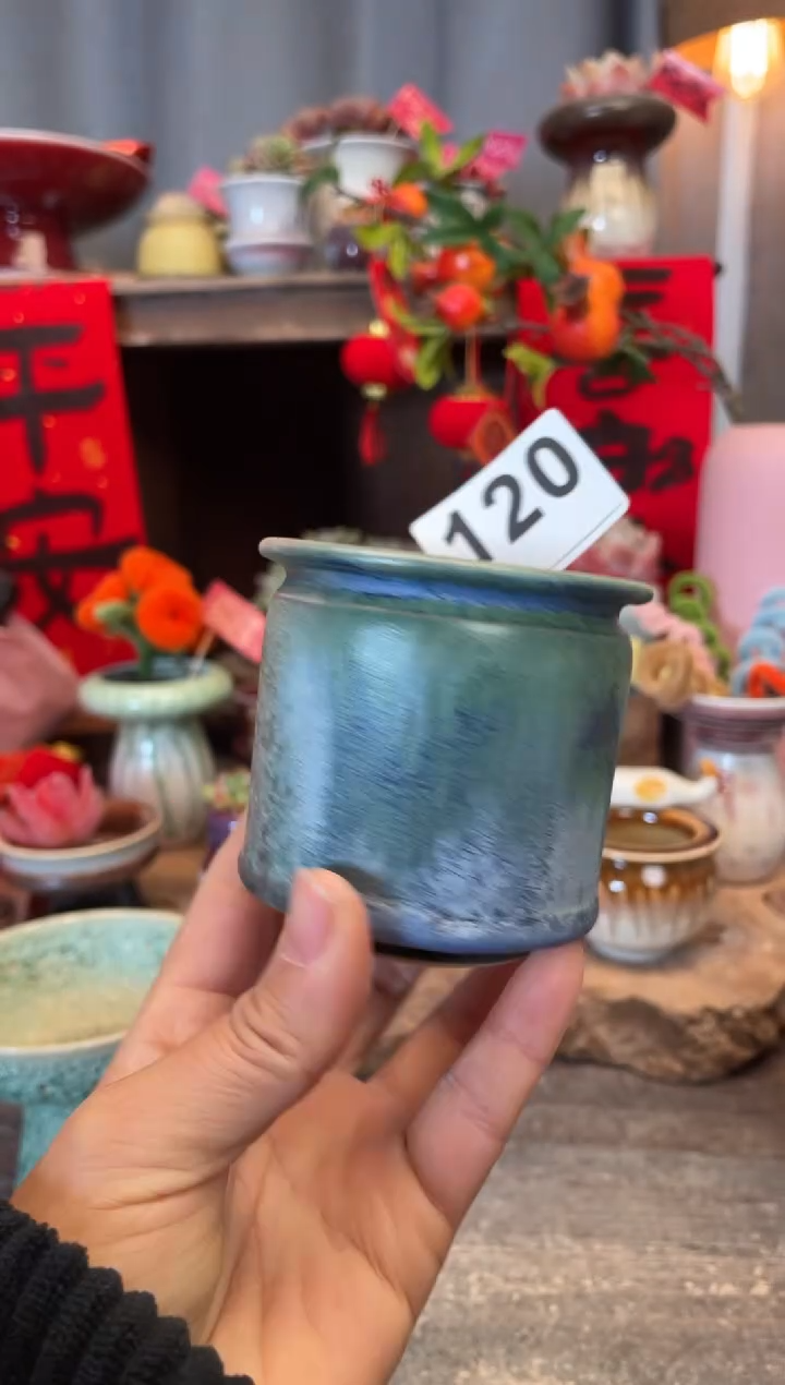 【闪购商品】摆件120知木小芳花盆