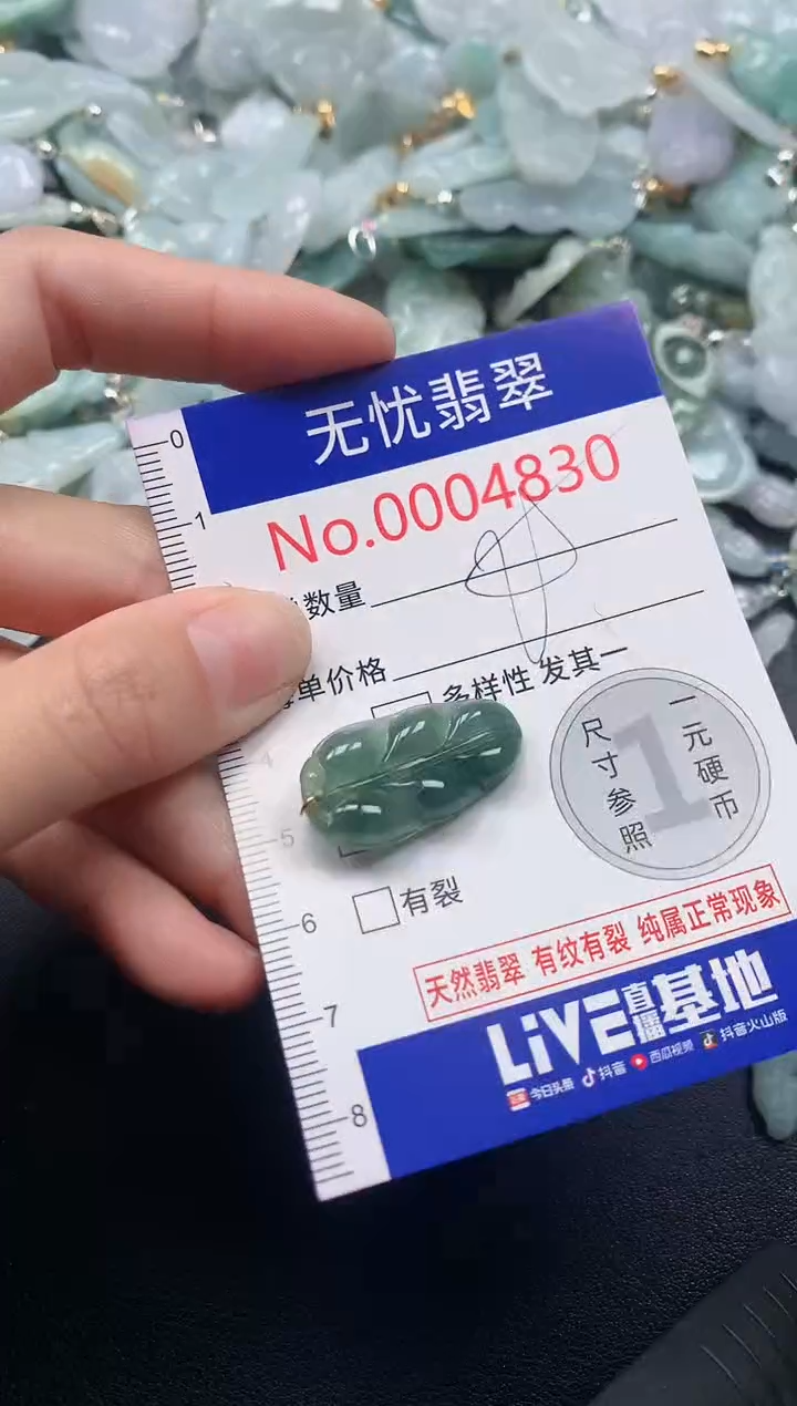 吊坠(不含链)未镶嵌翡翠4830