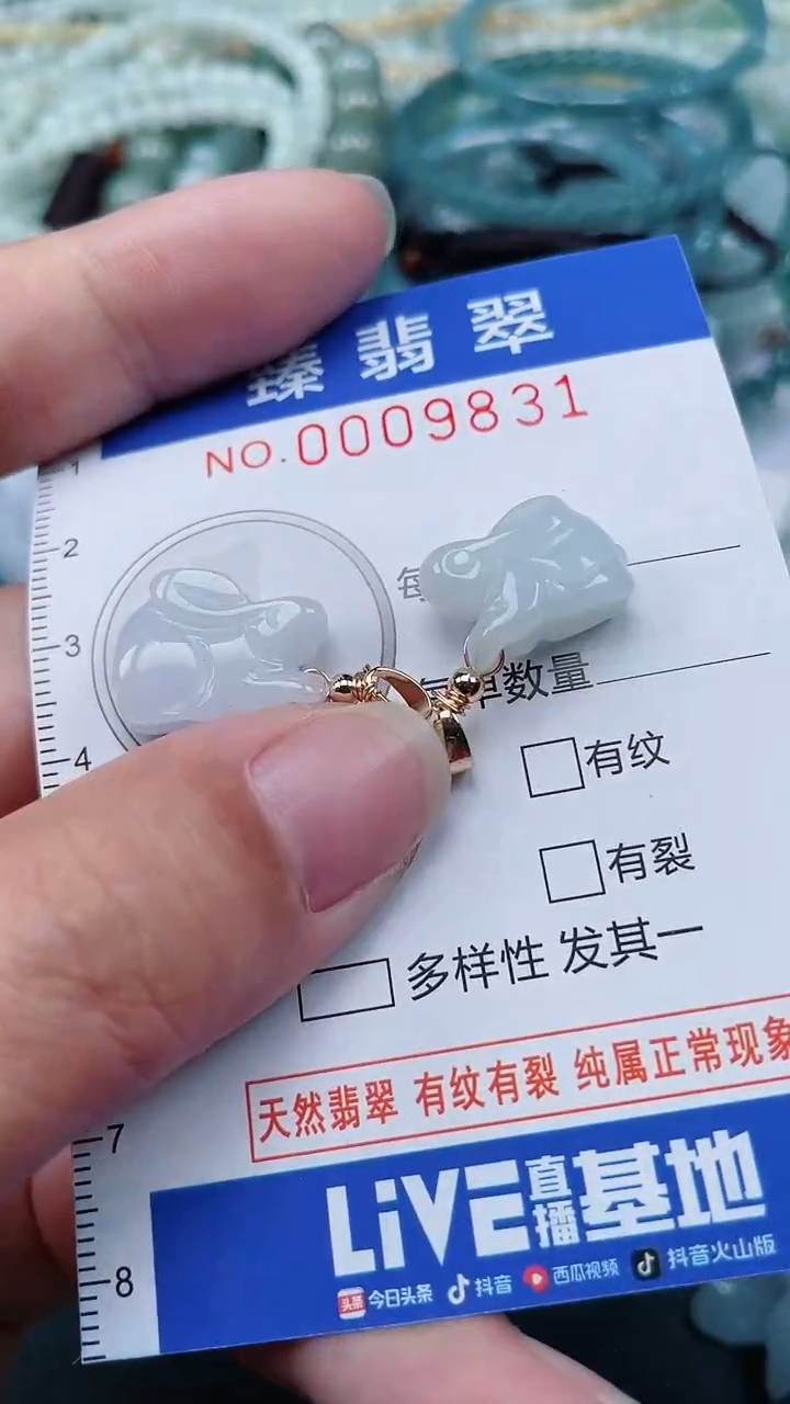 颈饰未镶嵌翡翠.0009831