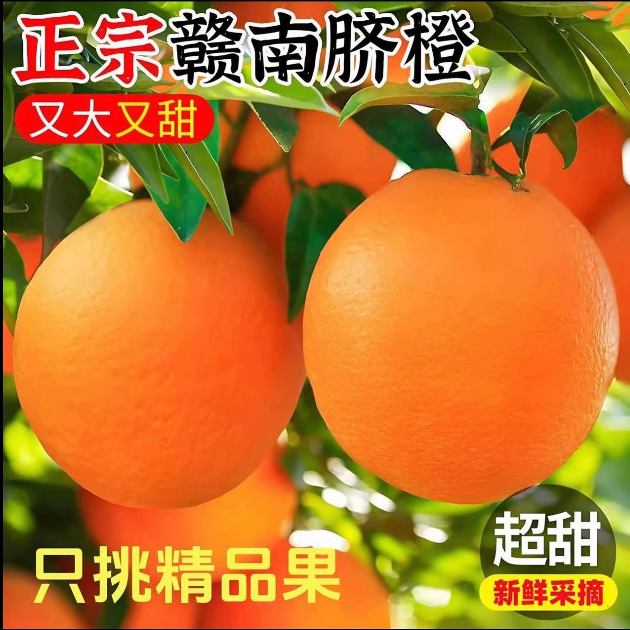 【正宗赣南脐橙】江西赣南脐橙老树橙子寻乌脐橙香甜应季10斤