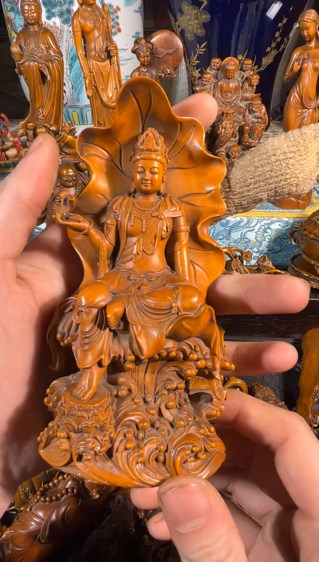 黄杨木11111111111