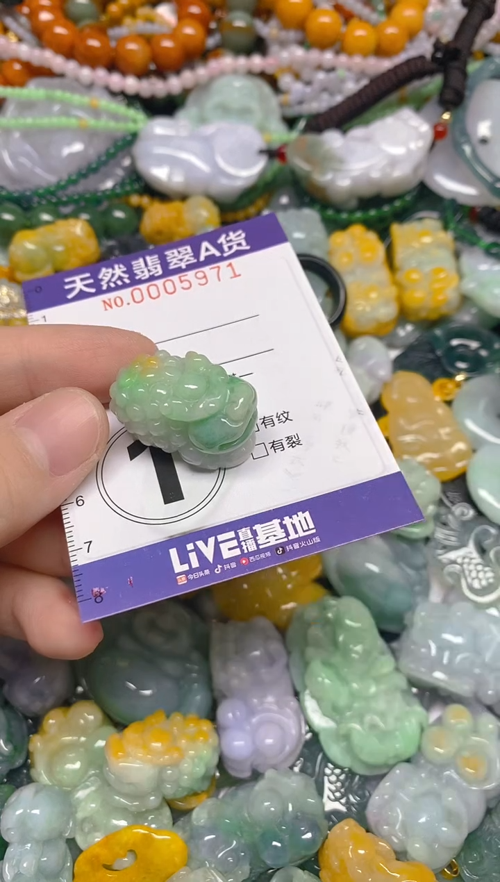 颈饰未镶嵌翡翠0005971