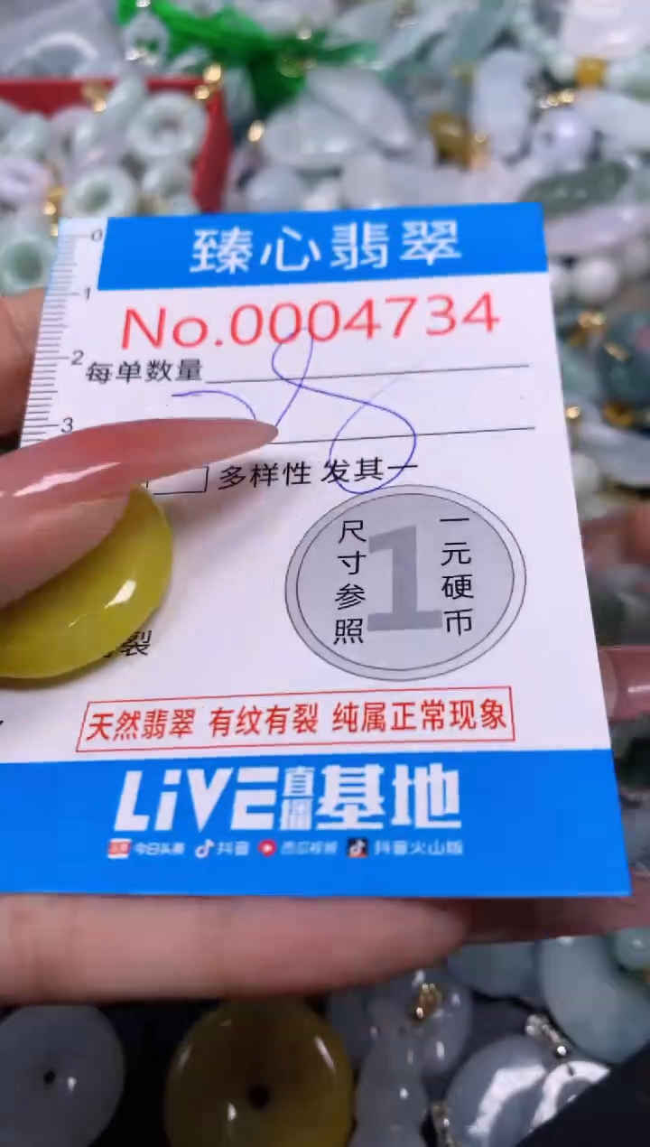 【闪购商品】翡翠颈饰未镶嵌含绳0004734