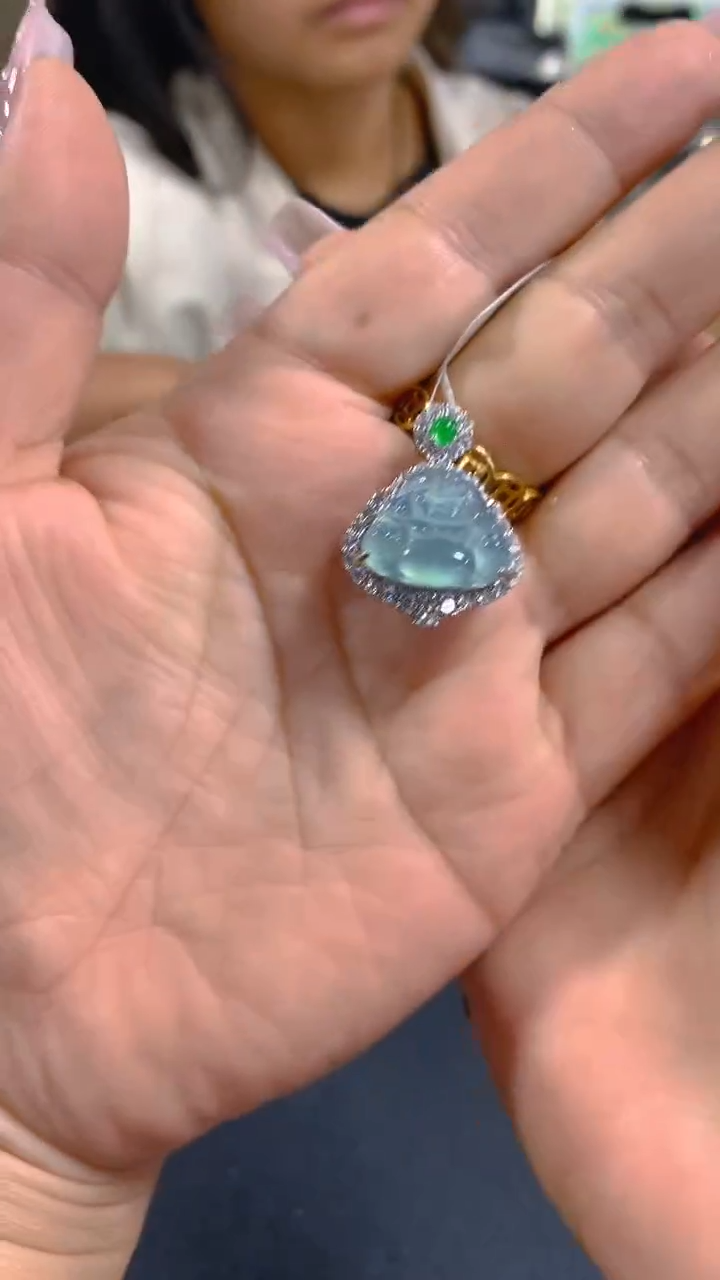 【闪购商品】翡翠吊坠(赠链)未镶嵌0430707962多样性发其一