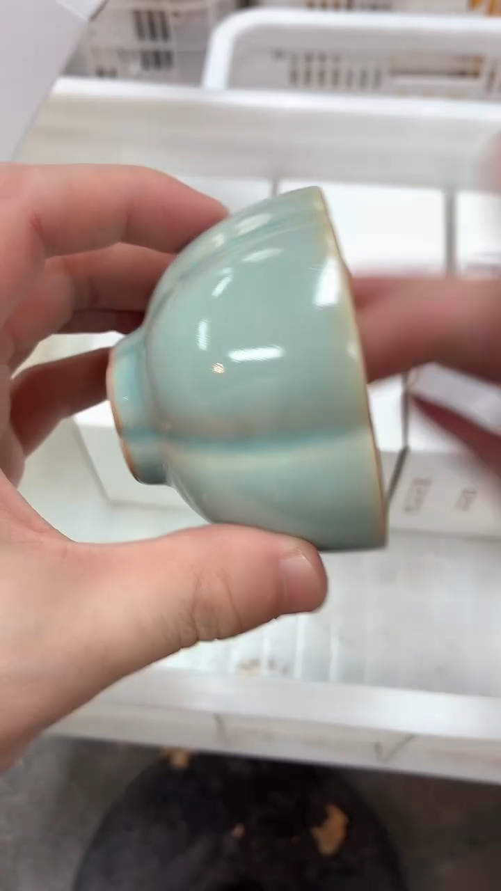 其他闪购商品闪购商品@@SS1005