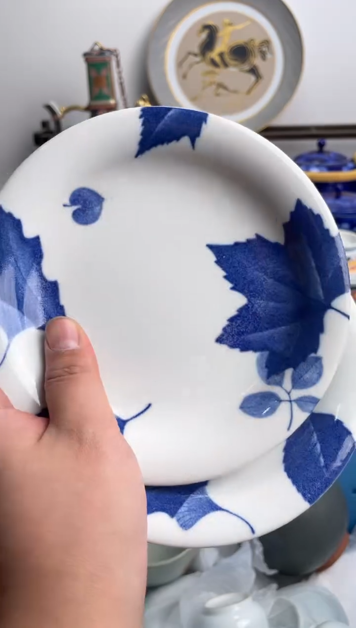 【闪购商品】瓷片560-C-2月2日满20包邮