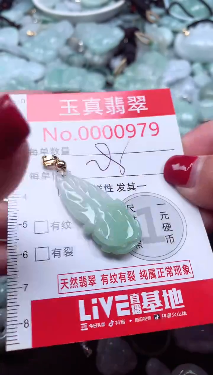 颈饰未镶嵌翡翠979