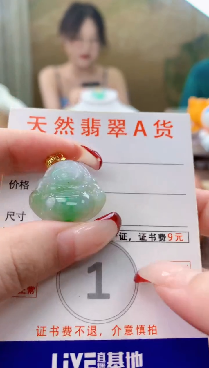 颈饰未镶嵌翡翠天然A货翡翠挂件