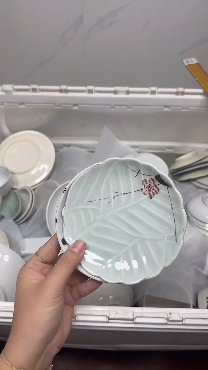 【闪购商品】452回流瓷器默认微瑕，18.8包邮