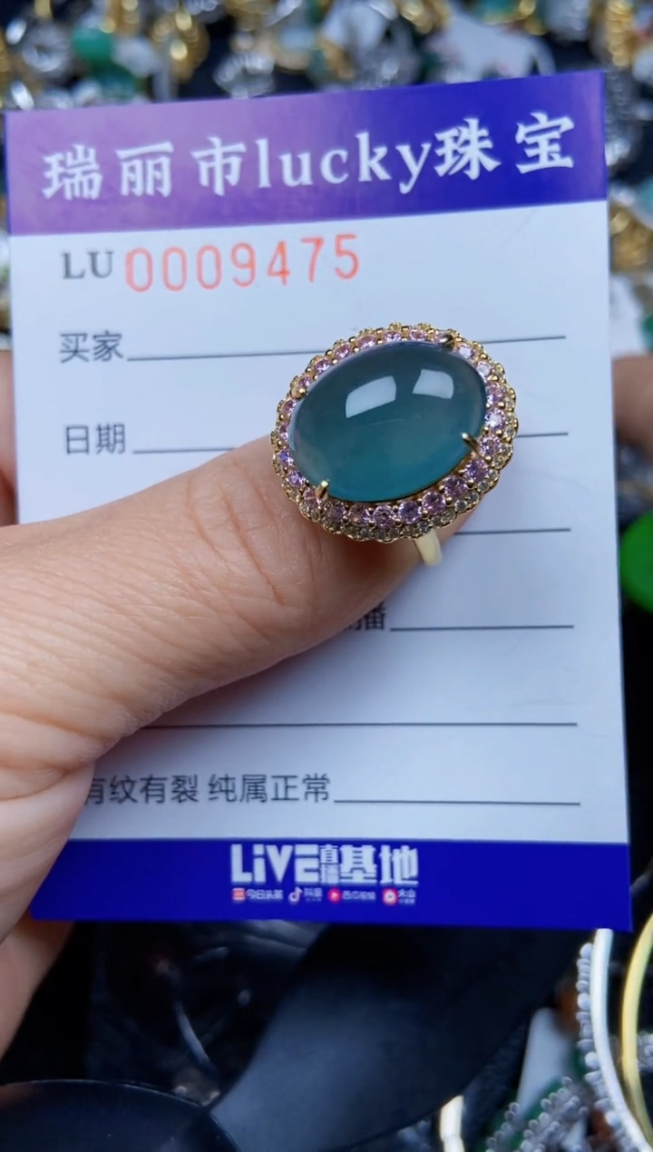 【闪购商品】翡翠颈饰银S925镶嵌9475