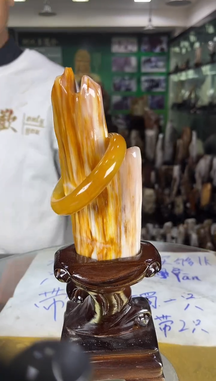 未镶嵌珠宝奇石硅化玉缅甸天然树化玉精品居家摆件